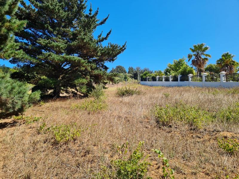0 Bedroom Property for Sale in Oude Westhof Western Cape